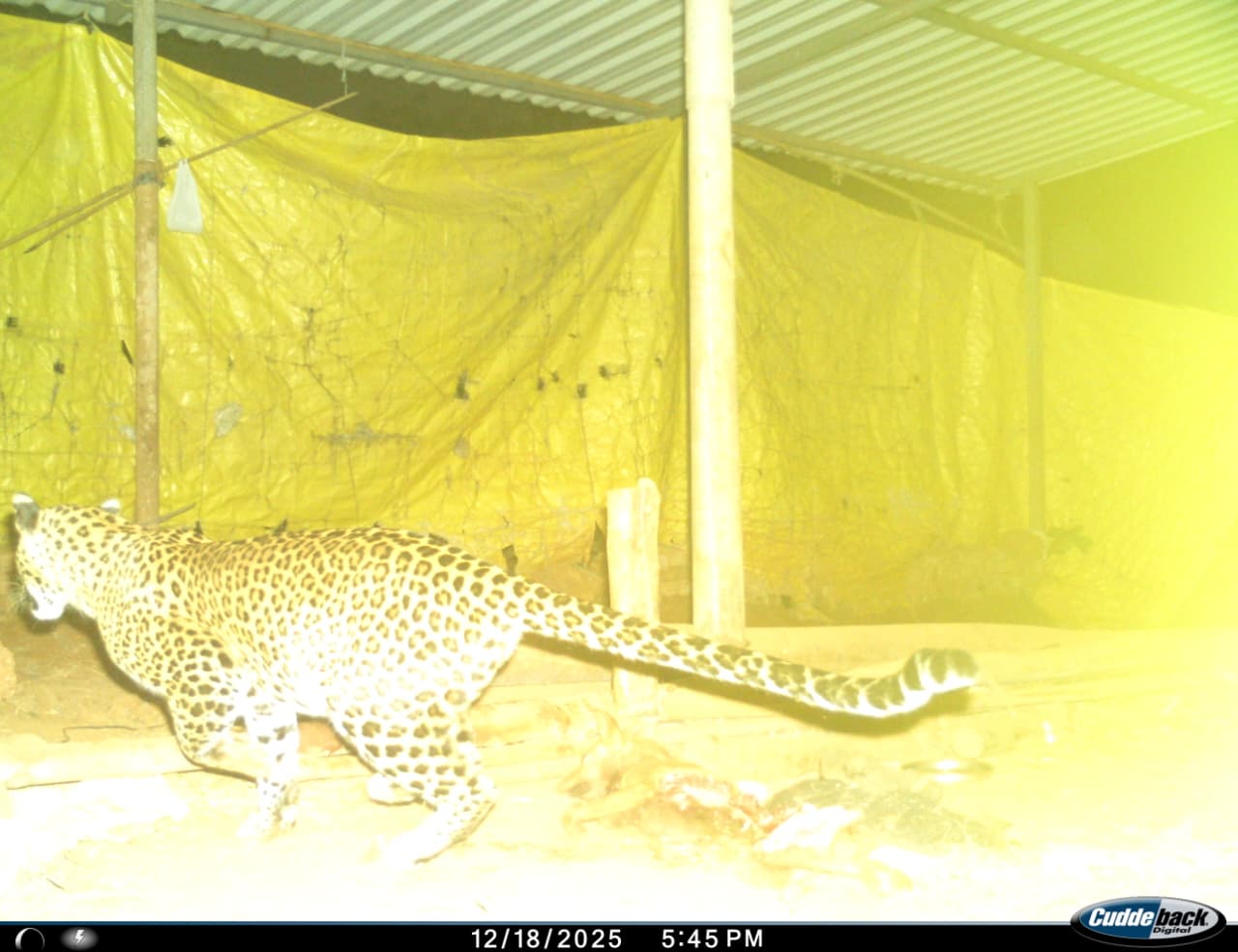 Slide Image